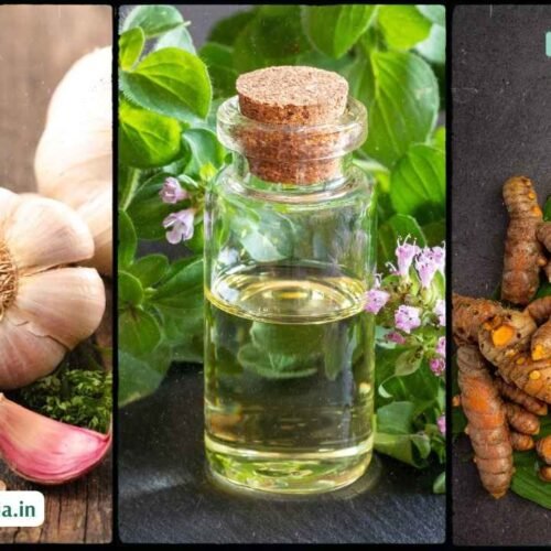 What is the Strongest Natural Antibiotic for a Tooth Infection?