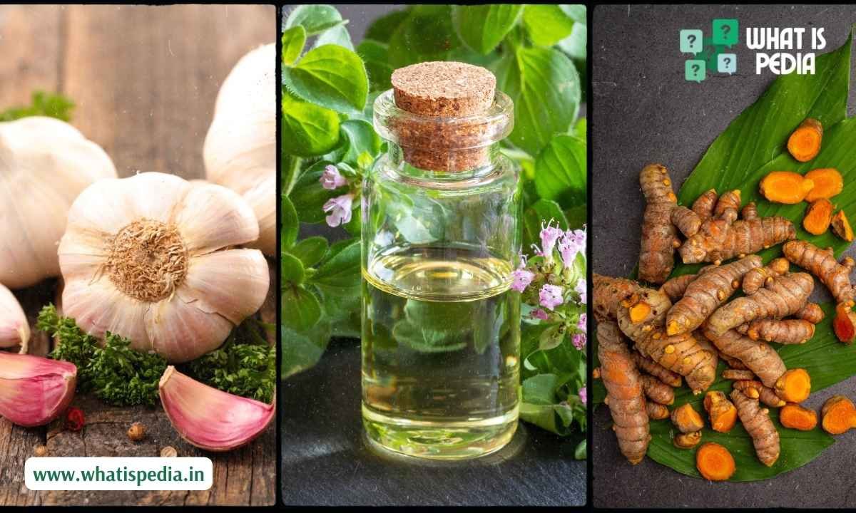 What is the Strongest Natural Antibiotic for a Tooth Infection?
