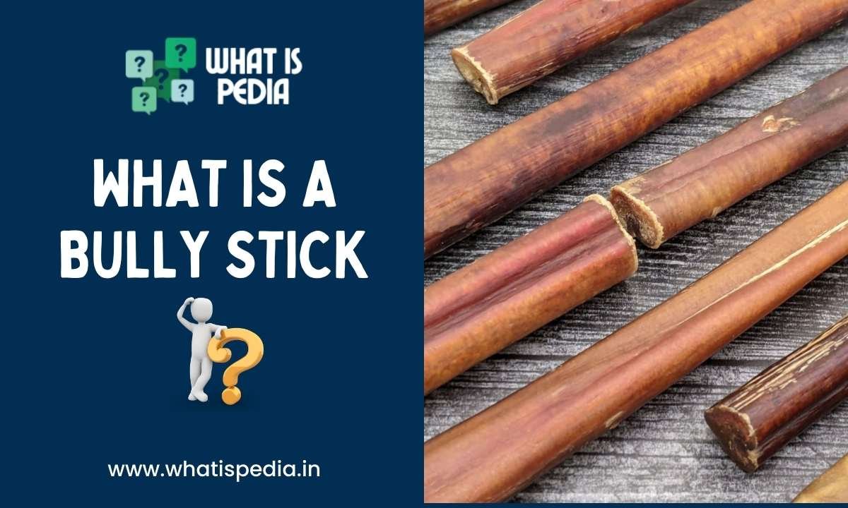 What is a bully stick