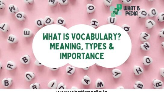 What is Vocabulary