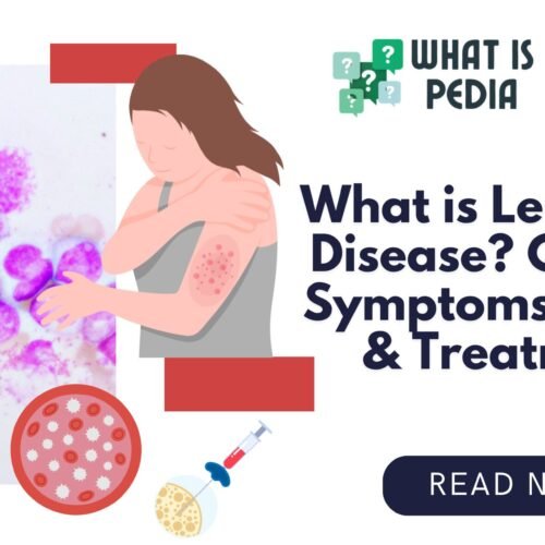 What is Leukemia Disease