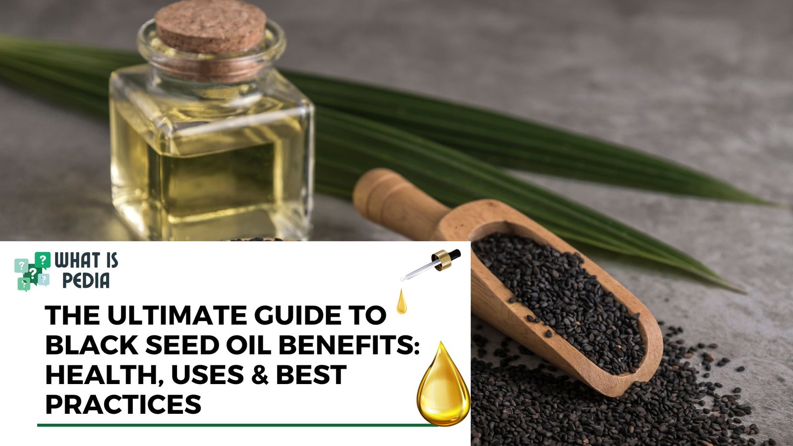 black seed oil benefits