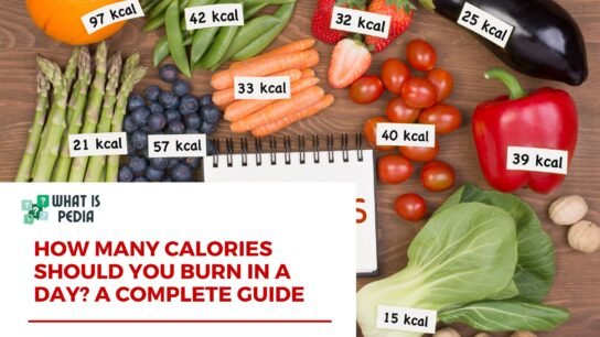 how many calories to be burn in a day