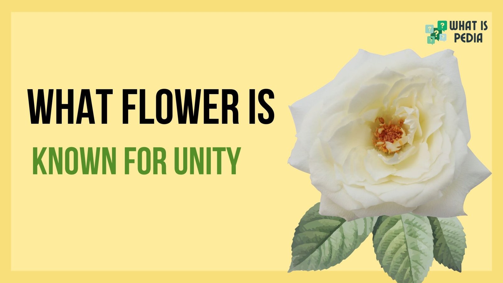 what flower is known for unity