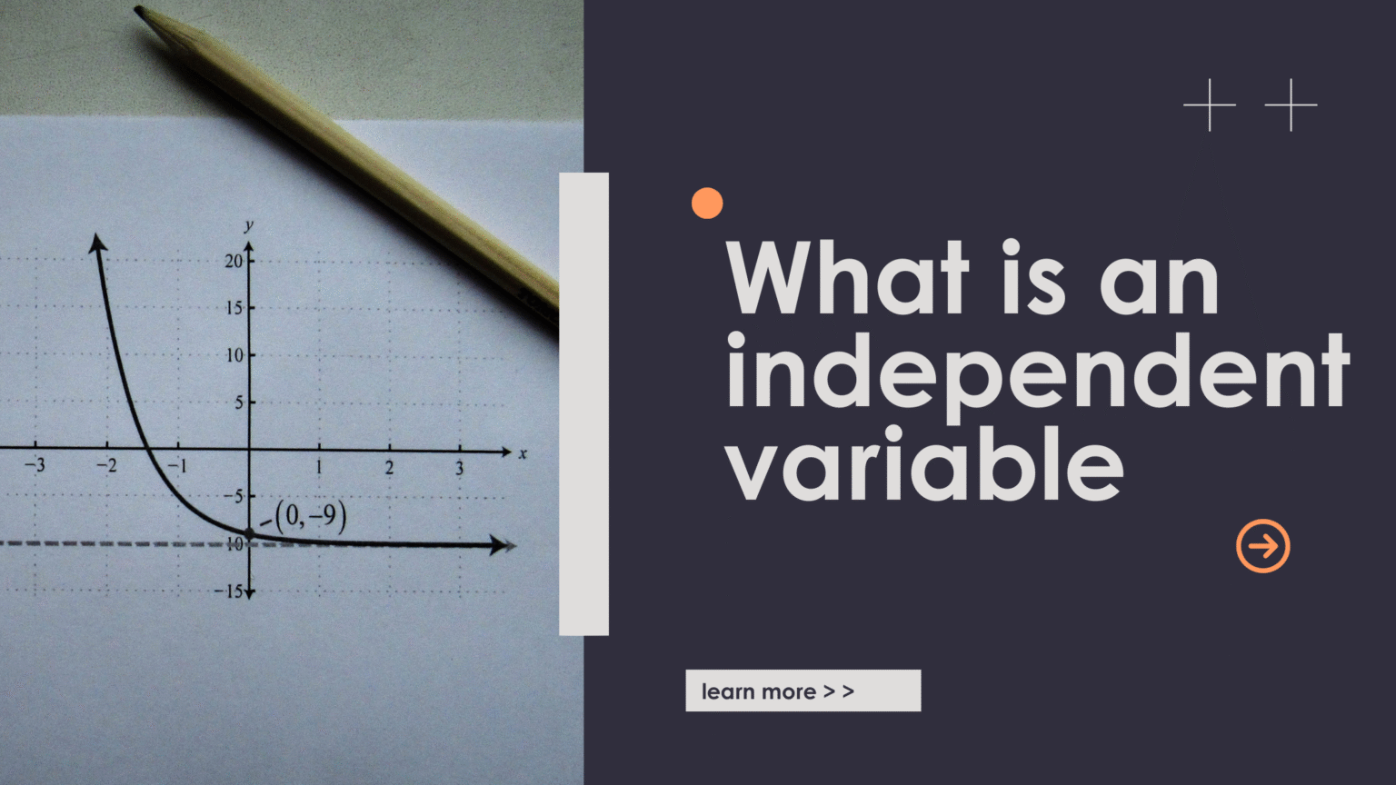 what is an independent variable