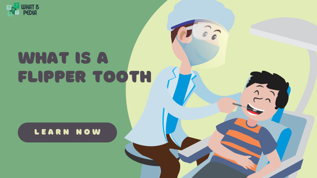 what is flipper tooth