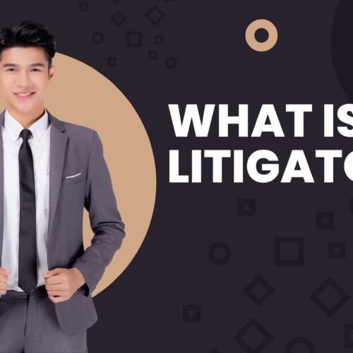 what is a litigator