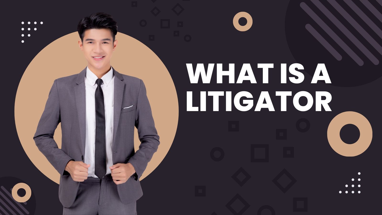 what is a litigator