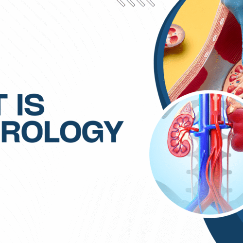 what is nephrology
