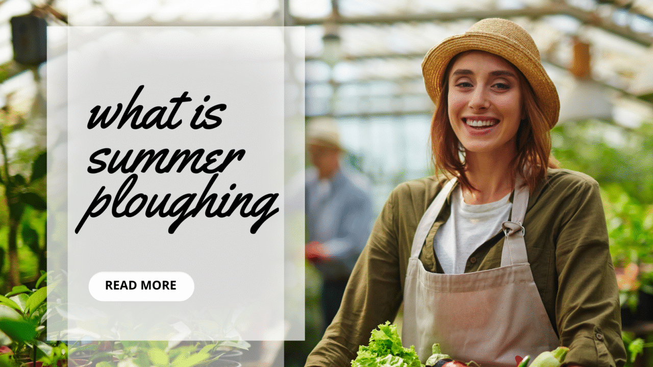 what is summer ploughing