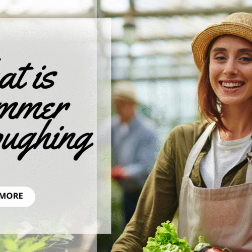 what is summer ploughing