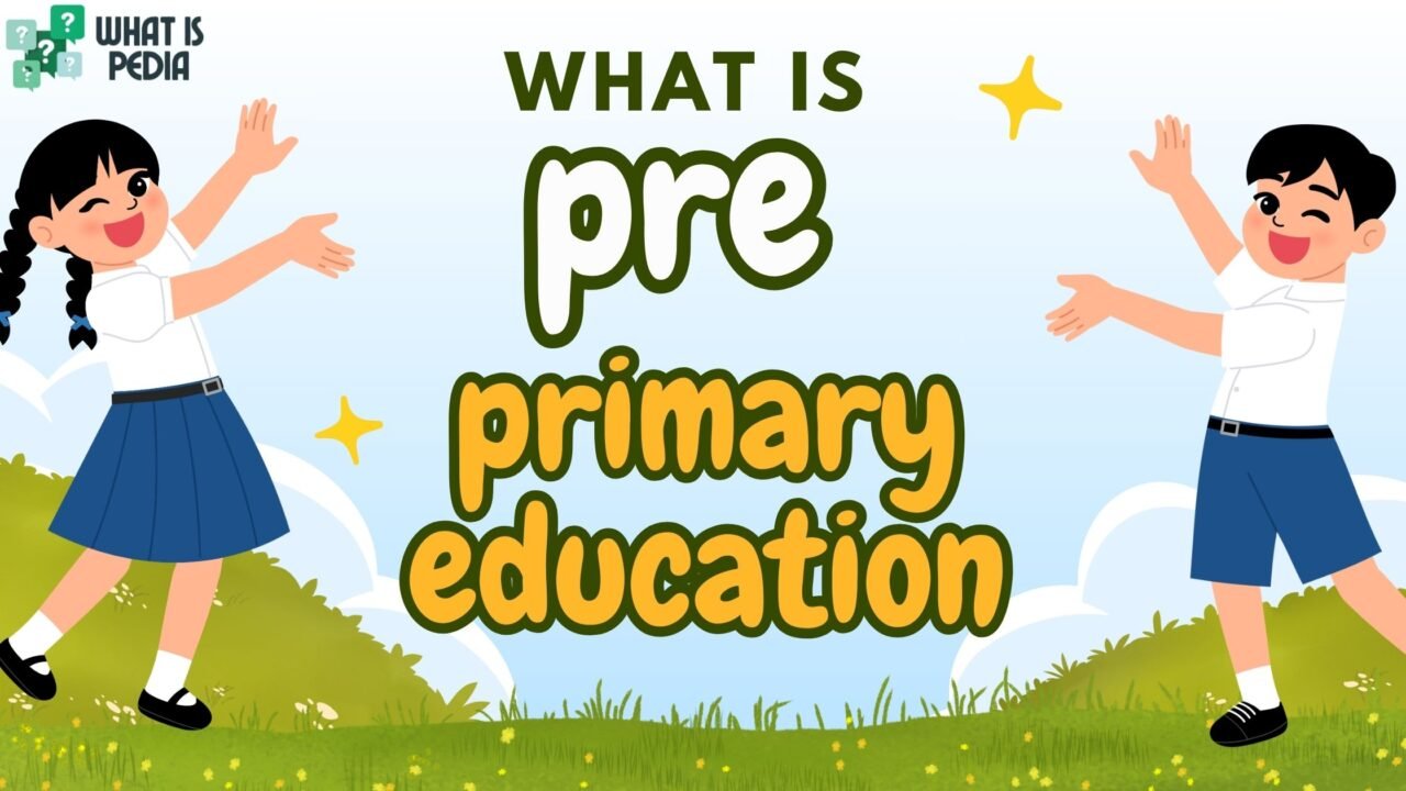 what is pre primary education