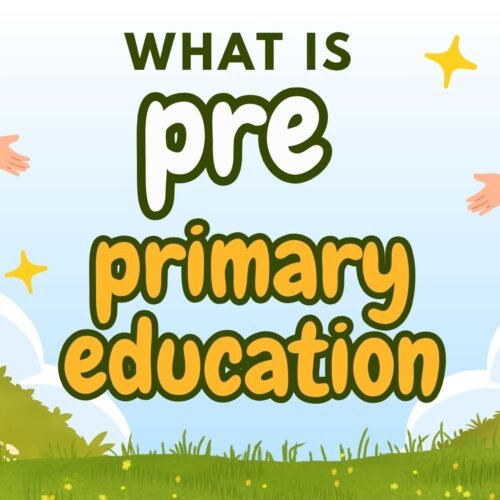 what is pre primary education