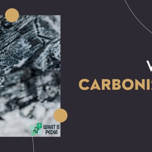 what is carbonisation