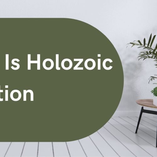what is holozoic nutrition_