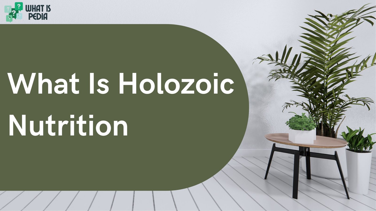 what is holozoic nutrition_