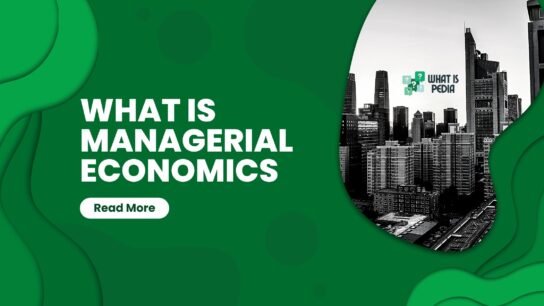 what is managerial economics