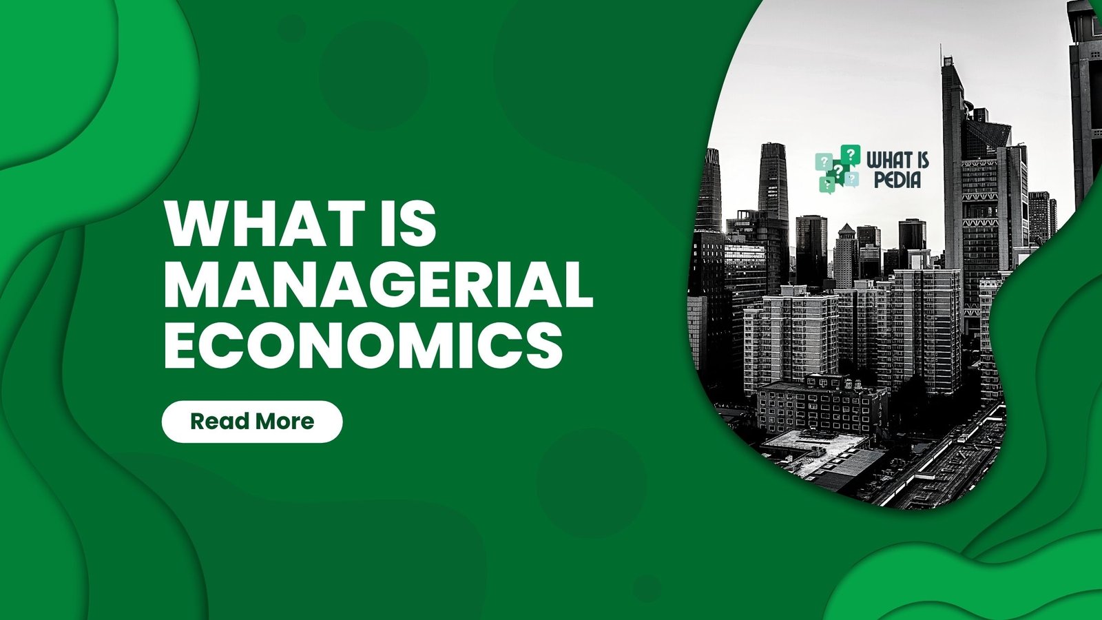 what is managerial economics