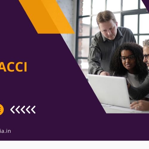 what is fibonacci series