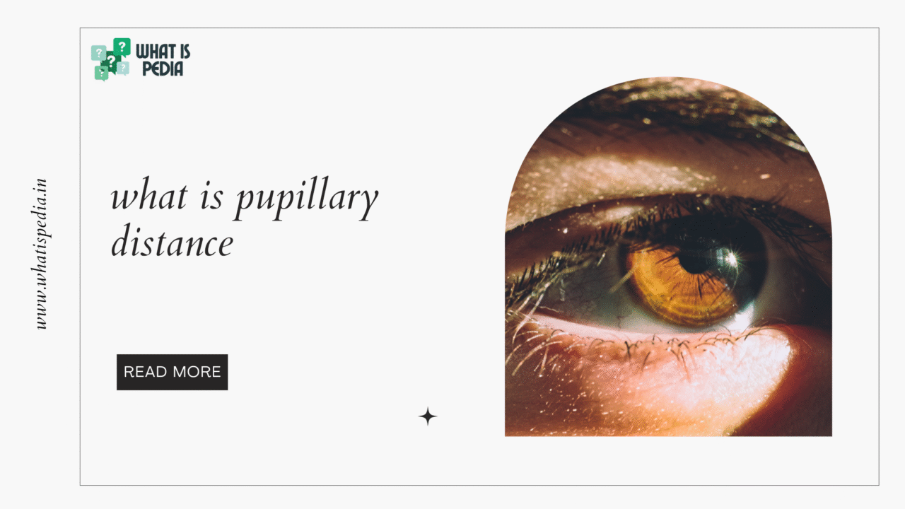what is pupillary distance