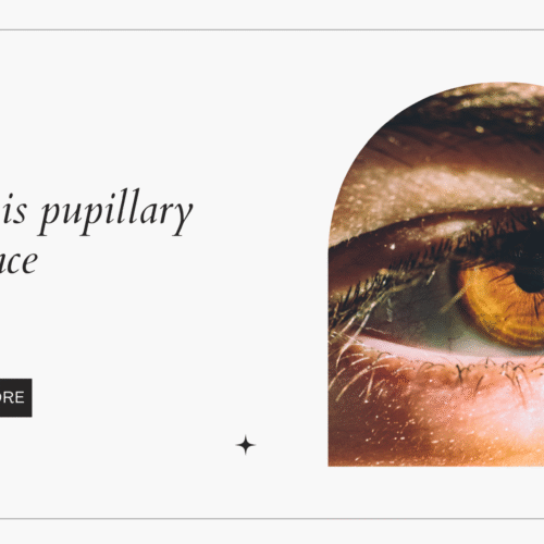 what is pupillary distance