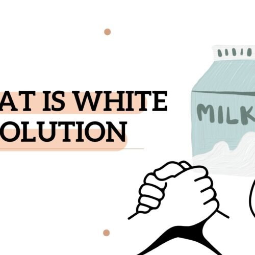 what is white revolution