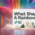 what shape is a rainbow​