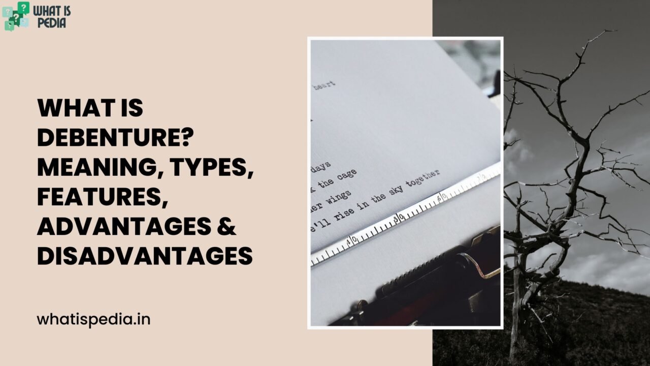 What Is Debenture Meaning, Types, Features, Advantages & Disadvantages
