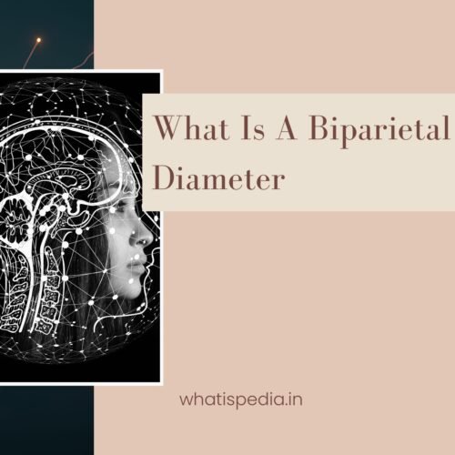 what is a biparietal diameter_