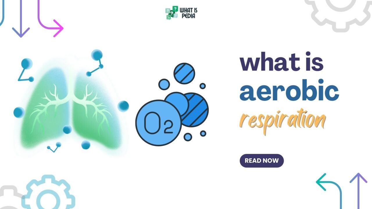 what is aerobic respiration