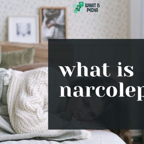 what is narcolepsy