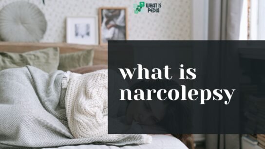 what is narcolepsy