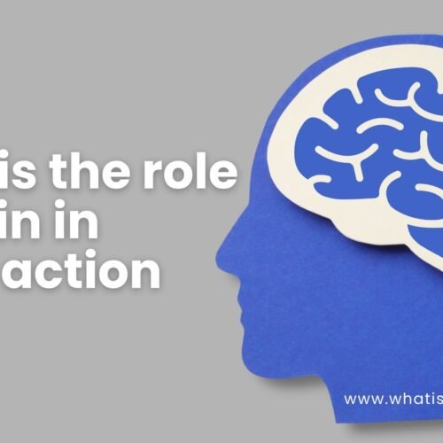 what is the role of brain in reflex action