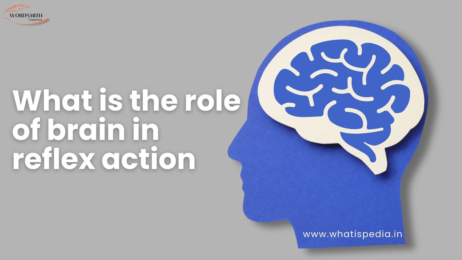 what is the role of brain in reflex action
